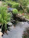 front view of pond wih%22falls%22.jpg
