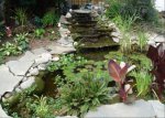 pondpics011-1.jpg