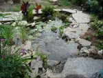pondpics012-1.jpg