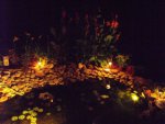 pond at night 2.JPG