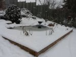 winter pond 2 (2).jpg