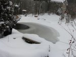 winter pond 3 (2).jpg