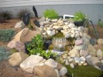 Pond 062209.jpg