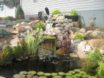 Pond Pics.jpg