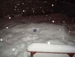 winter1.jpg