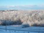 snow 01  08  2011 pee wees coffee 007.JPG