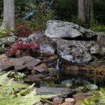 Small Garden Pond.jpg