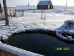 New pond area.JPG New pond area.JPG