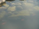 DSC05739.JPG