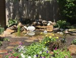 IMG_1693.jpg