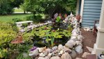 Pond (after Lily cull) 7.28.2020.jpg