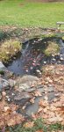 20201213_123723.jpg 20201213_123723.jpg