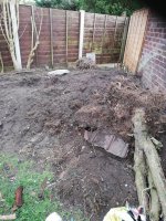 IMG_20201124_135600.jpg