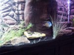 tank2.jpg tank2.jpg