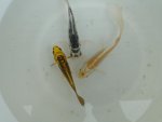 DSC04828.JPG