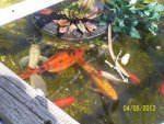 100_5957.jpg 100_5957.jpg