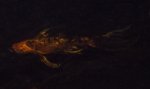 Impressionist fish by minnowman.jpg Impressionist fish by minnowman.jpg