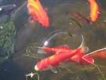 Just Fishing Around by j.w.jpg Just Fishing Around by j.w.jpg