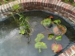 IMG_0721.JPG
