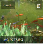 insert.png