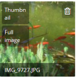 Full image.png