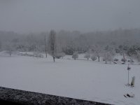 DSC02924.JPG