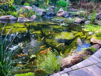 BEST POND LAYOUT (100 of 1).jpg