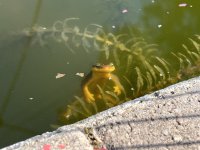 IMG_8865.jpg