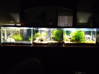 20211225_172945.jpg