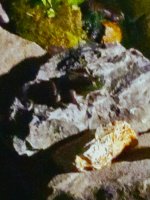 20220616_213746.jpg