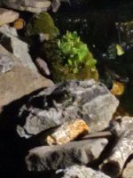 20220616_213638.jpg