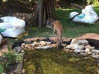 IMG_4143.jpg