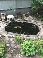 pond cover final and done.JPG
