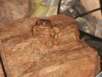 all round 2012 043.JPG