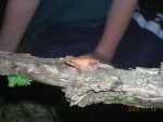 DSCN4320.JPG