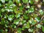 DSC01564.JPG