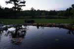 pond at sunset 027.JPG