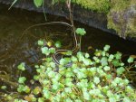 DSC01567.JPG