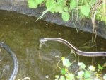 DSC01570.JPG