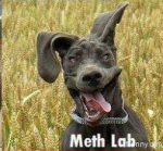 meth_lab.png