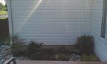 IMAG0654.jpg