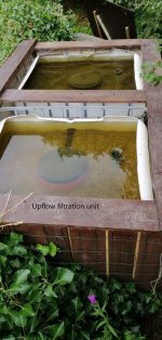 Our upflow pond filters.jpg