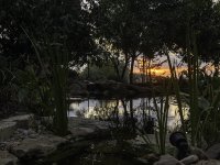 Pond-sunset_10Elul5782.jpg