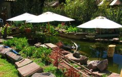pond shade_jun23_02.JPG