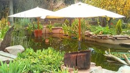 IMG_20230610_155320402~2[1].jpg