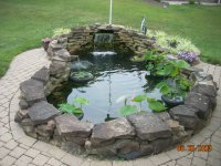 DSCN0559.JPG
