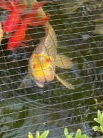 IMG_6383.jpeg