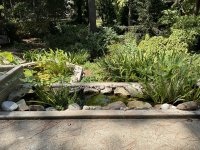 IMG_7280.jpeg