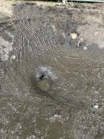 Pond Drain 1.JPG