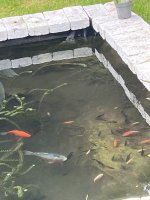 IMG_1968.jpeg
